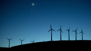 Wind Energy Eagle Deaths